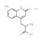 3-(2-Oxo-1,2-dihydro-4-quinolinyl)alanine hydrochloride monohydrate - chemical structure image