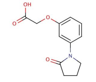 [3-(2-oxopyrrolidin-1-yl)phenoxy]acetic acid - chemical structure image