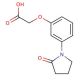 [3-(2-oxopyrrolidin-1-yl)phenoxy]acetic acid - chemical structure image