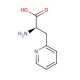 3-(2-Pyridyl)-D-alanine (CAS 37535-52-7) - chemical structure image