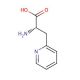 3-(2-Pyridyl)-L-alanine (CAS 37535-51-6) - chemical structure image
