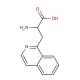 3-(2-Quinolyl)-DL-alanine (CAS 123761-12-6) - chemical structure image