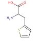 3-(2-Thienyl)-DL-alanine (CAS 2021-58-1) - chemical structure image