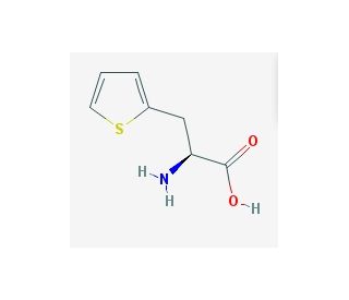 3-(2-Thienyl)-L-alanine (CAS 22951-96-8) - chemical structure image