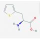 3-(2-Thienyl)-L-alanine (CAS 22951-96-8) - chemical structure image
