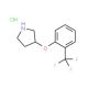 3-[2-(Trifluoromethyl)phenoxy]pyrrolidine hydrochloride - chemical structure image