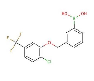 3-((2&prime;-Chloro-5&prime;-(trifluoromethyl)phenoxy)methyl)phenylboronic acid (CAS 871126-25-9) - chemical structure image