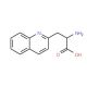 3-(2′-Quinolyl)-L-alanine (CAS 161513-46-8) - chemical structure image