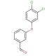 3-(3,4-Dichlorophenoxy)benzaldehyde (CAS 79124-76-8) - chemical structure image