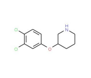 3-(3,4-Dichlorophenoxy)piperidine - chemical structure image