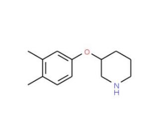 3-(3,4-Dimethylphenoxy)piperidine - chemical structure image