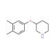 3-(3,4-Dimethylphenoxy)piperidine - chemical structure image