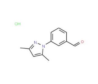 3-(3,5-Dimethyl-pyrazol-1-yl)-benzaldehydehydrochloride - chemical structure image