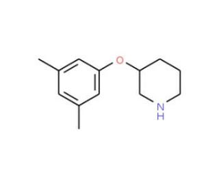 3-(3,5-Dimethylphenoxy)piperidine - chemical structure image