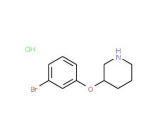 3-(3-Bromophenoxy)piperidine hydrochloride - chemical structure image