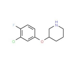 3-(3-Chloro-4-fluorophenoxy)piperidine (CAS 946759-15-5) - chemical structure image