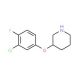 3-(3-Chloro-4-fluorophenoxy)piperidine (CAS 946759-15-5) - chemical structure image