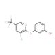 3-{[3-Chloro-5-(trifluoromethyl)-2-pyridinyl]-oxy}benzenol - chemical structure image