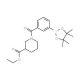 3-[3-(Ethoxycarbonyl)piperidine-1-carbonyl]phenylboronic acid pinacol ester (CAS 1073355-04-0) - chemical structure image