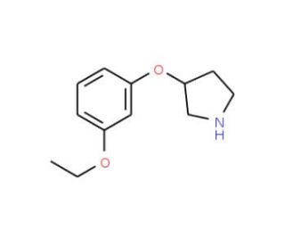 3-(3-Ethoxyphenoxy)pyrrolidine - chemical structure image