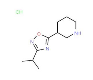 3-(3-Isopropyl-1,2,4-oxadiazol-5-yl)piperidinehydrochloride - chemical structure image