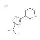 3-(3-Isopropyl-1,2,4-oxadiazol-5-yl)piperidinehydrochloride - chemical structure image