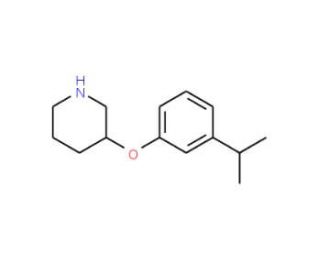 3-(3-Isopropylphenoxy)piperidine (CAS 946714-41-6) - chemical structure image