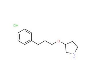 3-(3-Phenylpropoxy)pyrrolidine hydrochloride - chemical structure image