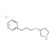 3-(3-Phenylpropoxy)pyrrolidine hydrochloride - chemical structure image