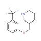 3-{[3-(Trifluoromethyl)phenoxy]methyl}piperidine (CAS 405062-74-0) - chemical structure image