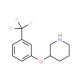 3-[3-(Trifluoromethyl)phenoxy]piperidine (CAS 946759-18-8) - chemical structure image