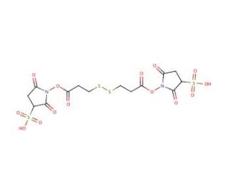 3,3&prime;-Dithiobispropionic Acid Bis-sulfosuccinimidyl Ester (CAS 81069-02-5) - chemical structure image