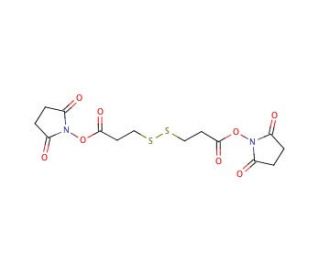 3,3&prime;-Dithiodipropionic acid di(N-hydroxysuccinimide ester) (CAS 57757-57-0) - chemical structure image