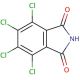3,4,5,6-Tetrachlorophthalimide (CAS 1571-13-7) - chemical structure image