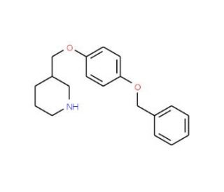 3-{[4-(Benzyloxy)phenoxy]methyl}piperidine - chemical structure image