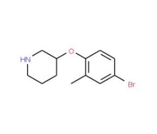3-(4-Bromo-2-methylphenoxy)piperidine - chemical structure image
