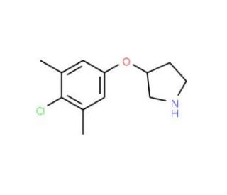 3-(4-Chloro-3,5-dimethylphenoxy)pyrrolidine - chemical structure image
