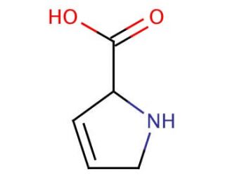 3,4-Dehydro-DL-proline (CAS 3395-35-5) - chemical structure image