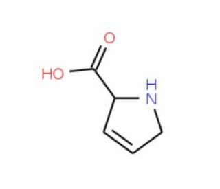 3,4-Dehydro-L-proline (CAS 4043-88-3) - chemical structure image