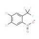 3,4-Dichloro-6-nitrobenzotrifluoride (CAS 50594-31-5) - chemical structure image