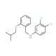 3,4-Dichloro-N-(2-isobutoxybenzyl)aniline - chemical structure image