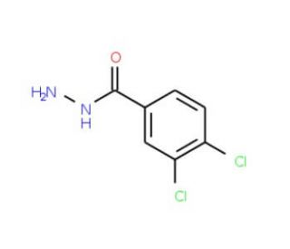 3,4-Dichlorobenzenecarbohydrazide (CAS 28036-91-1) - chemical structure image