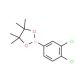 3,4-Dichlorophenylboronic acid, pinacol ester (CAS 401797-02-2) - chemical structure image
