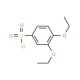 3,4-diethoxybenzenesulfonyl chloride (CAS 99188-17-7) - chemical structure image