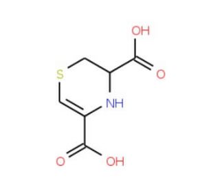 3,4-Dihydro-2H-1,4-thiazine-3,5-dicarboxylic acid (CAS 86360-62-5) - chemical structure image