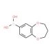 3,4-Dihydro-2H-1,5-benzodioxepin-7-ylboronic acid (CAS 279261-89-1) - chemical structure image