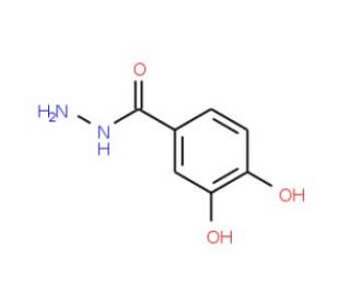 3,4-Dihydroxybenzhydrazide (CAS 39635-11-5) - chemical structure image