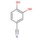 3,4-Dihydroxybenzonitrile (CAS 17345-61-8) - chemical structure image