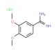 3,4-Dimethoxy-benzamidine HCl (CAS 51488-33-6) - chemical structure image