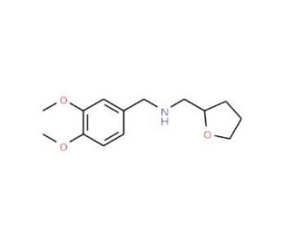 (3,4-Dimethoxy-benzyl)-(tetrahydro-furan-2-yl-methyl)-amine (CAS 346704-26-5) - chemical structure image